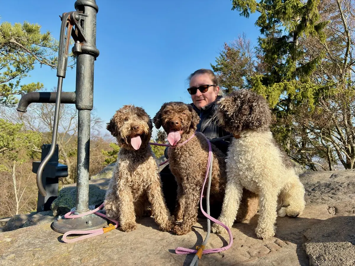 Rodina se třemi psy Lagotto Romagnolo