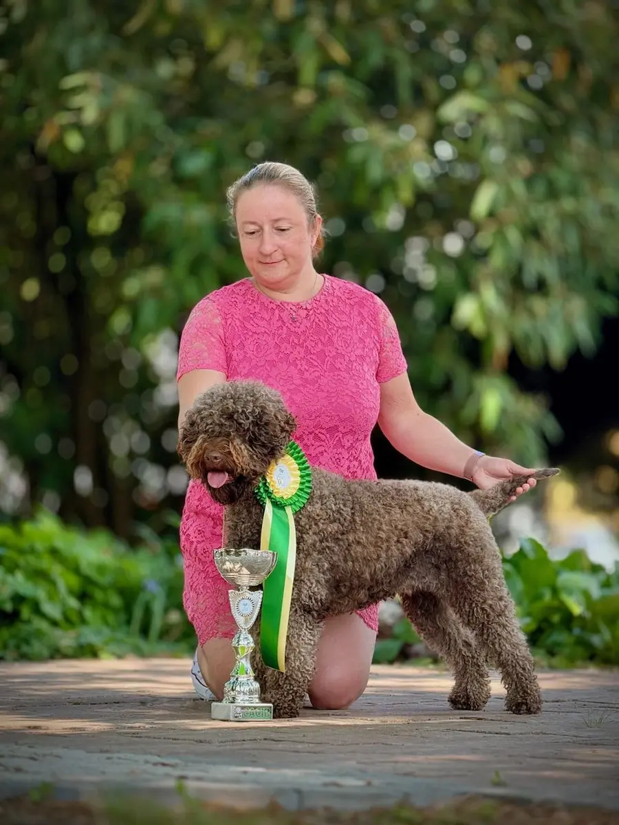 Trénink se psem Lagotto Romagnolo