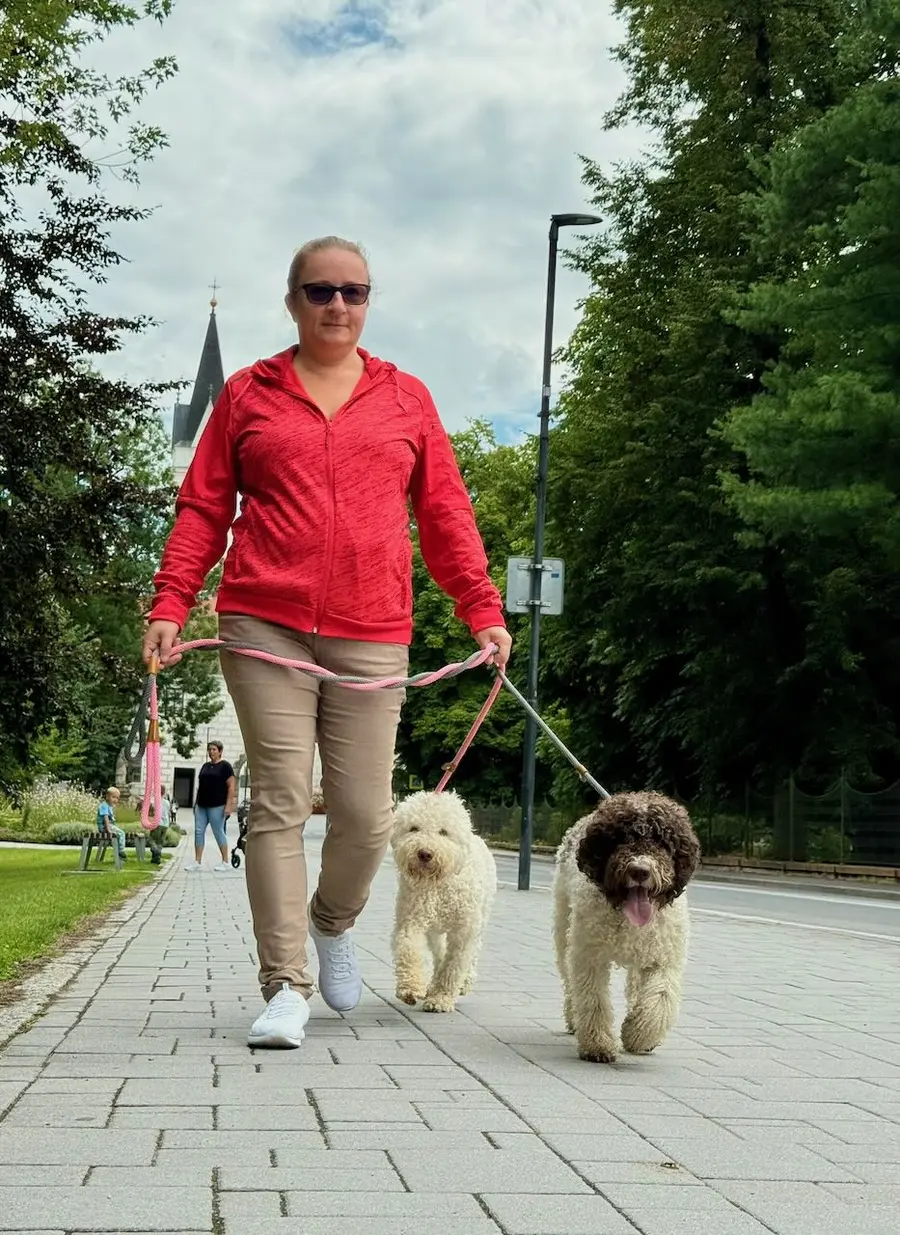 Procházka se dvěma psy Lagotto Romagnolo