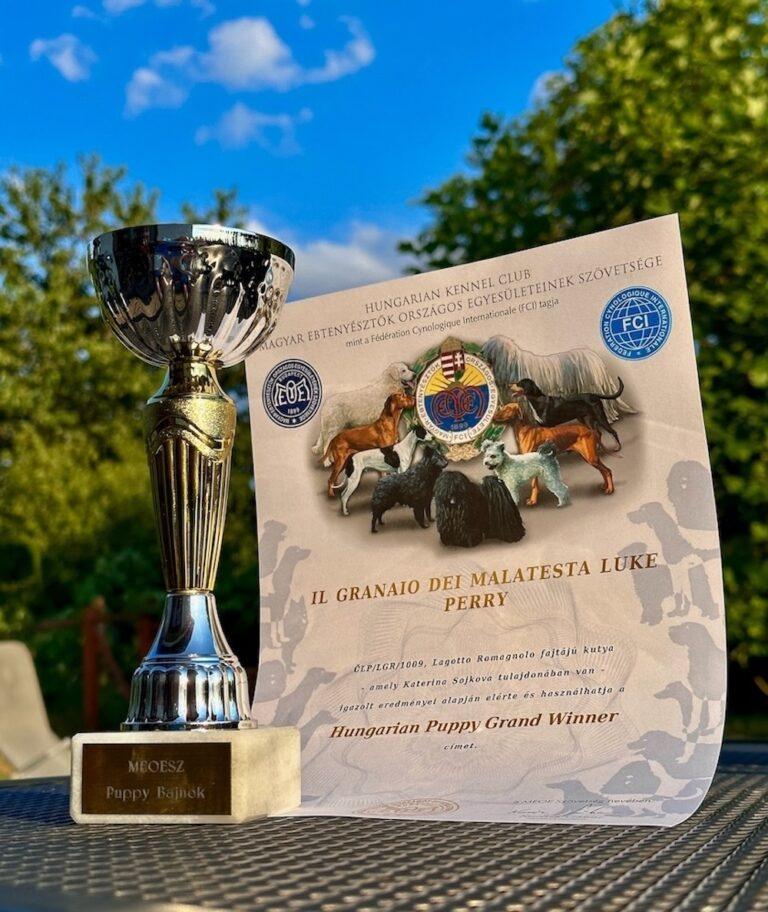 MVP Sarvar 2023