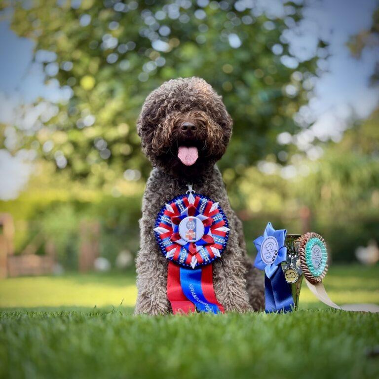 NVP Mladá Boleslav 2024