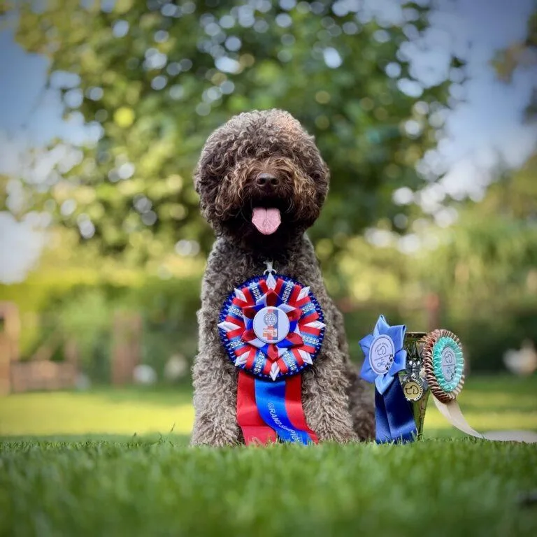NVP Mladá Boleslav 2024