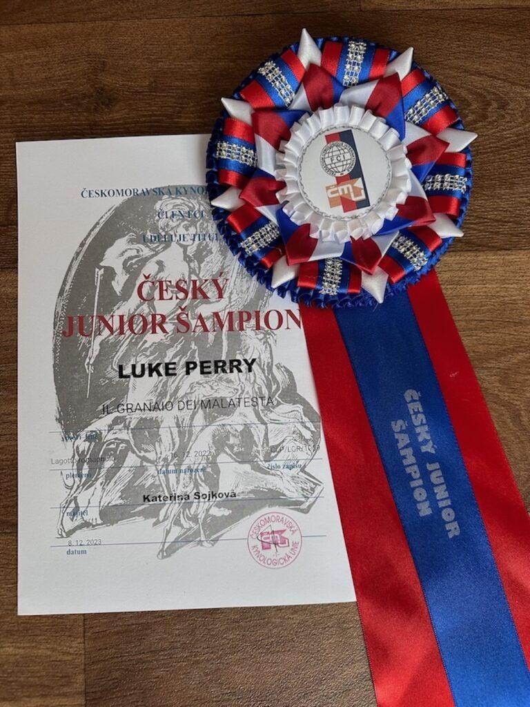 Luigi je Český junioršampion!