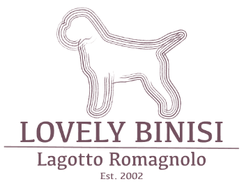 Lagotto Romagnolo